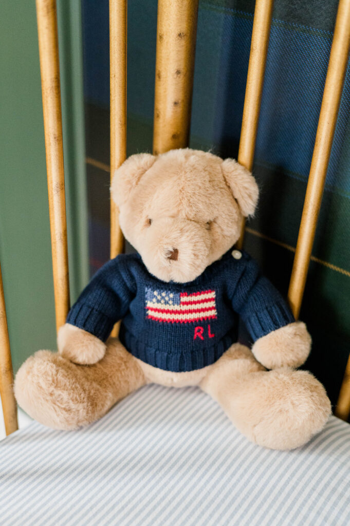 North Attleboro newborn photographer image of a teddy bear