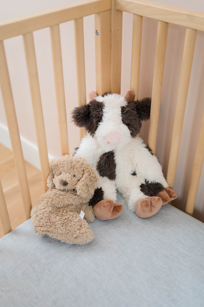 Stuffies in crib in Needham MA newborn session home